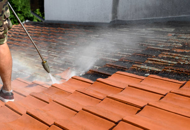 Best Commercial Building Pressure Washing  in Falfurrias, TX