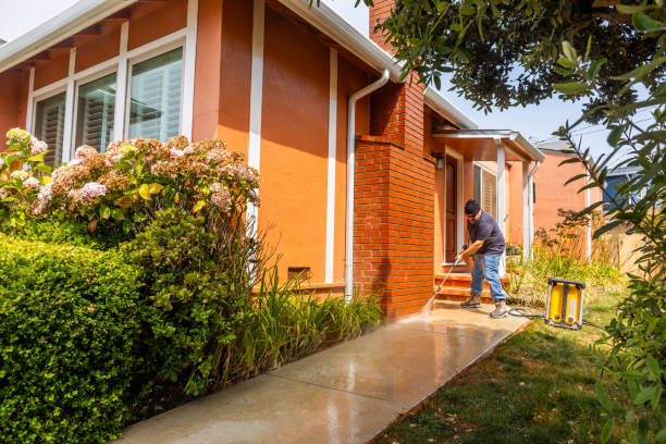 Best Pressure Washing Near Me  in Falfurrias, TX