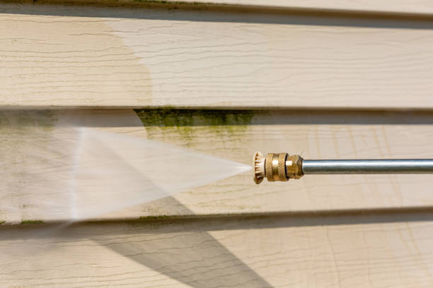 Best Affordable Pressure Washing  in Falfurrias, TX